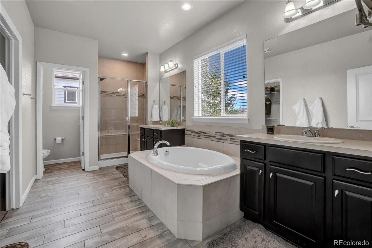 1767 Ghost Dance Circle Castle Rock, CO 80108 - Photo 19 of 48 a bathroom with a double vanity sink a mirror and a bathtub