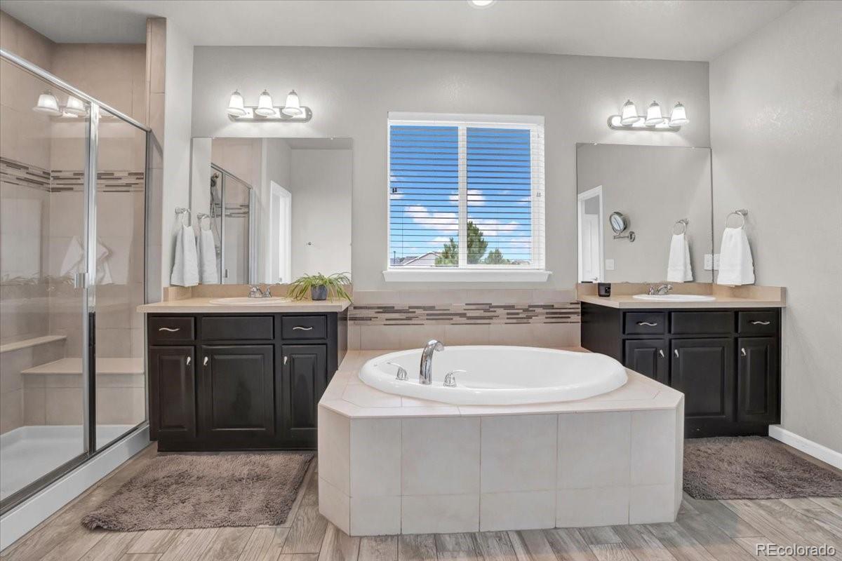 1767 Ghost Dance Circle Castle Rock, CO 80108 - Photo 20 of 48 a spacious bathroom with a tub sink and mirror
