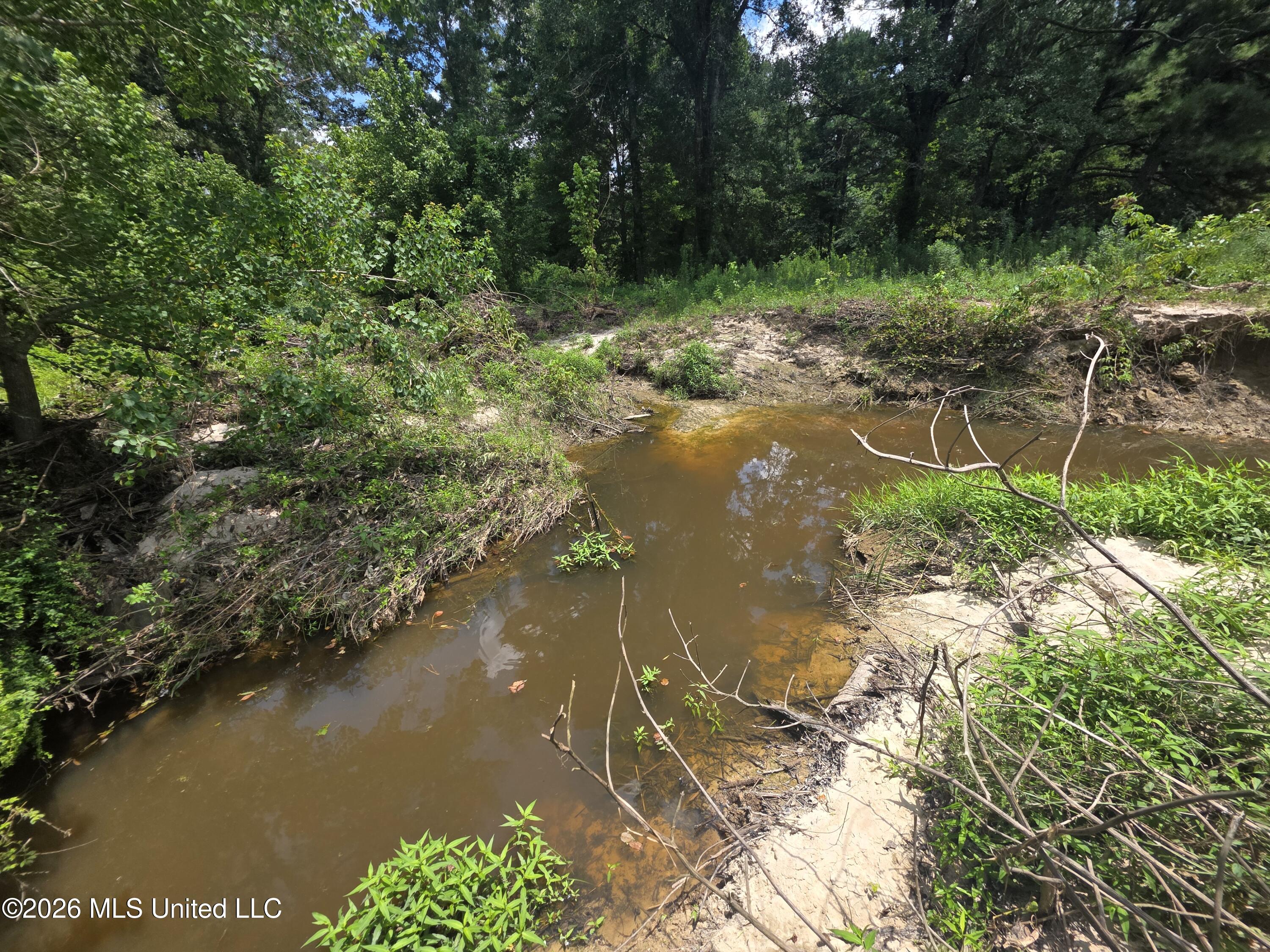 538 East Scrd Morton, MS 39117 - Photo 6 of 30 37179
