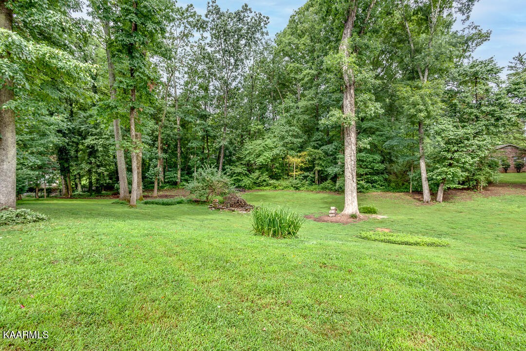 433 Smith Road Knoxville, TN 37934 - Photo 40 of 42 a backyard of a house with plants and large trees