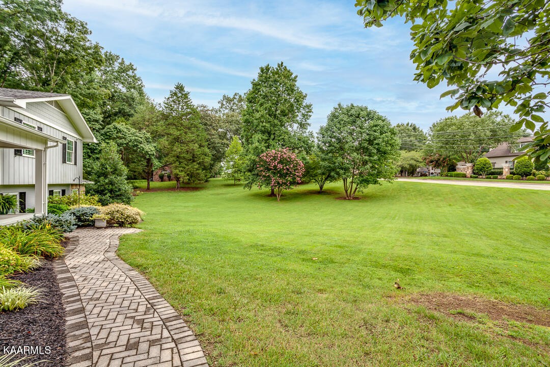 433 Smith Road Knoxville, TN 37934 - Photo 4 of 42 a view of a patio with table and chairs plants and large trees