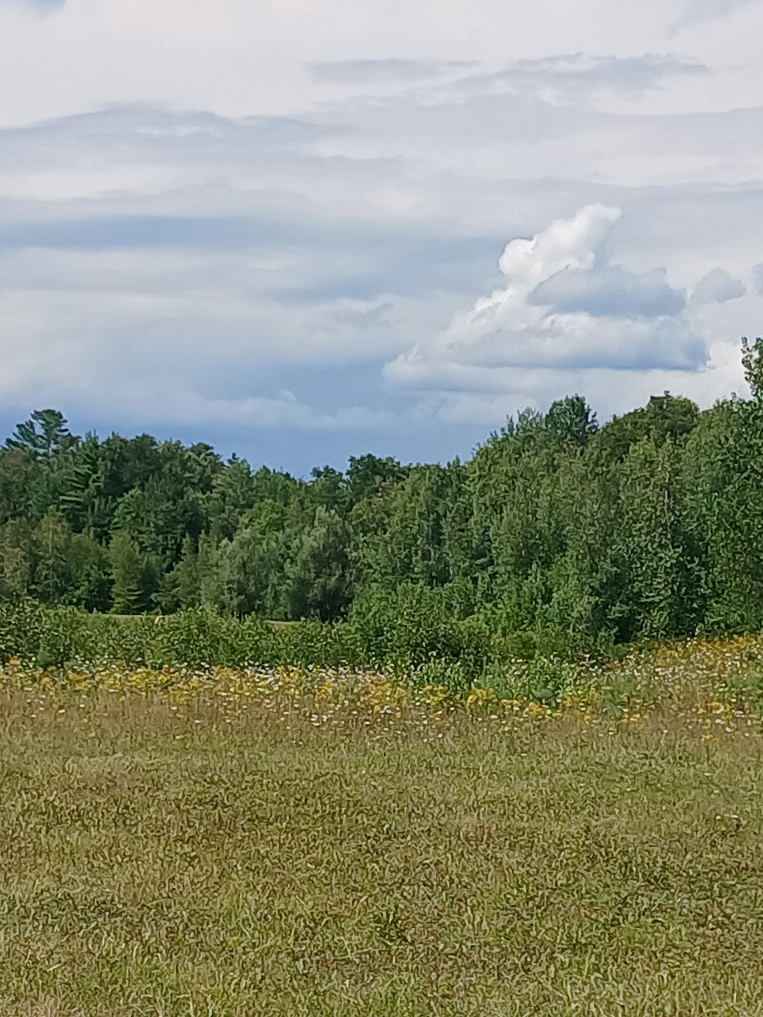 461 Bog Road Enfield, NH 03748 - Photo 15 of 40 Gallery Image 15