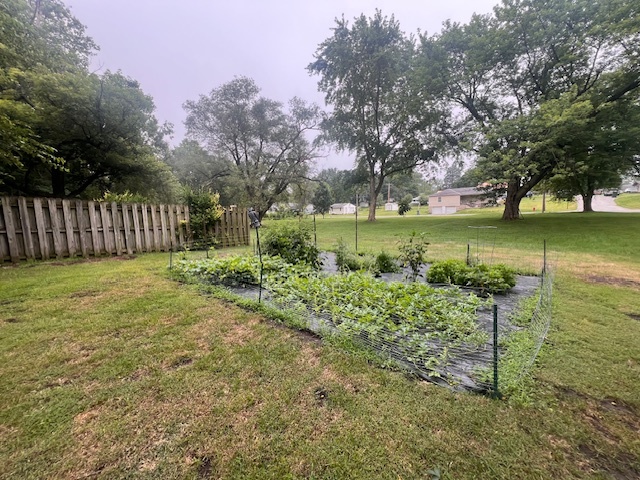 824 East Adams Street Clinton, IL 61727 - Photo 7 of 11 a view of a garden with an outdoor space
