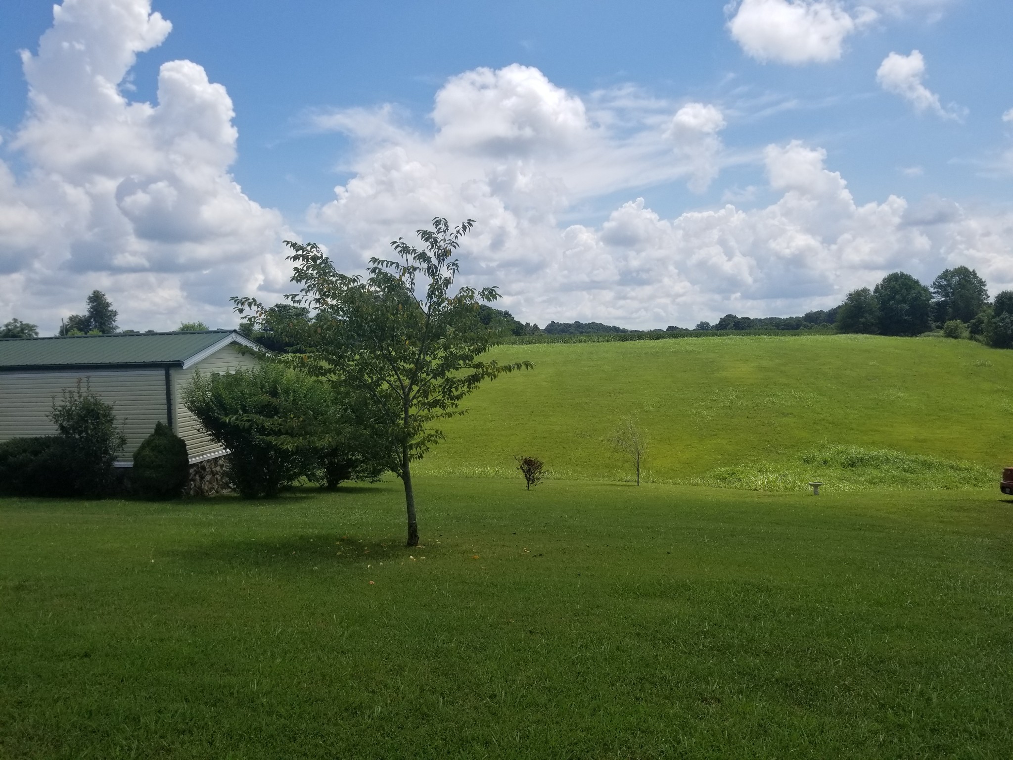 790 Sutton Road Red Boiling Springs, TN 37150 - Photo 1 of 4 a view of a golf course with a lake