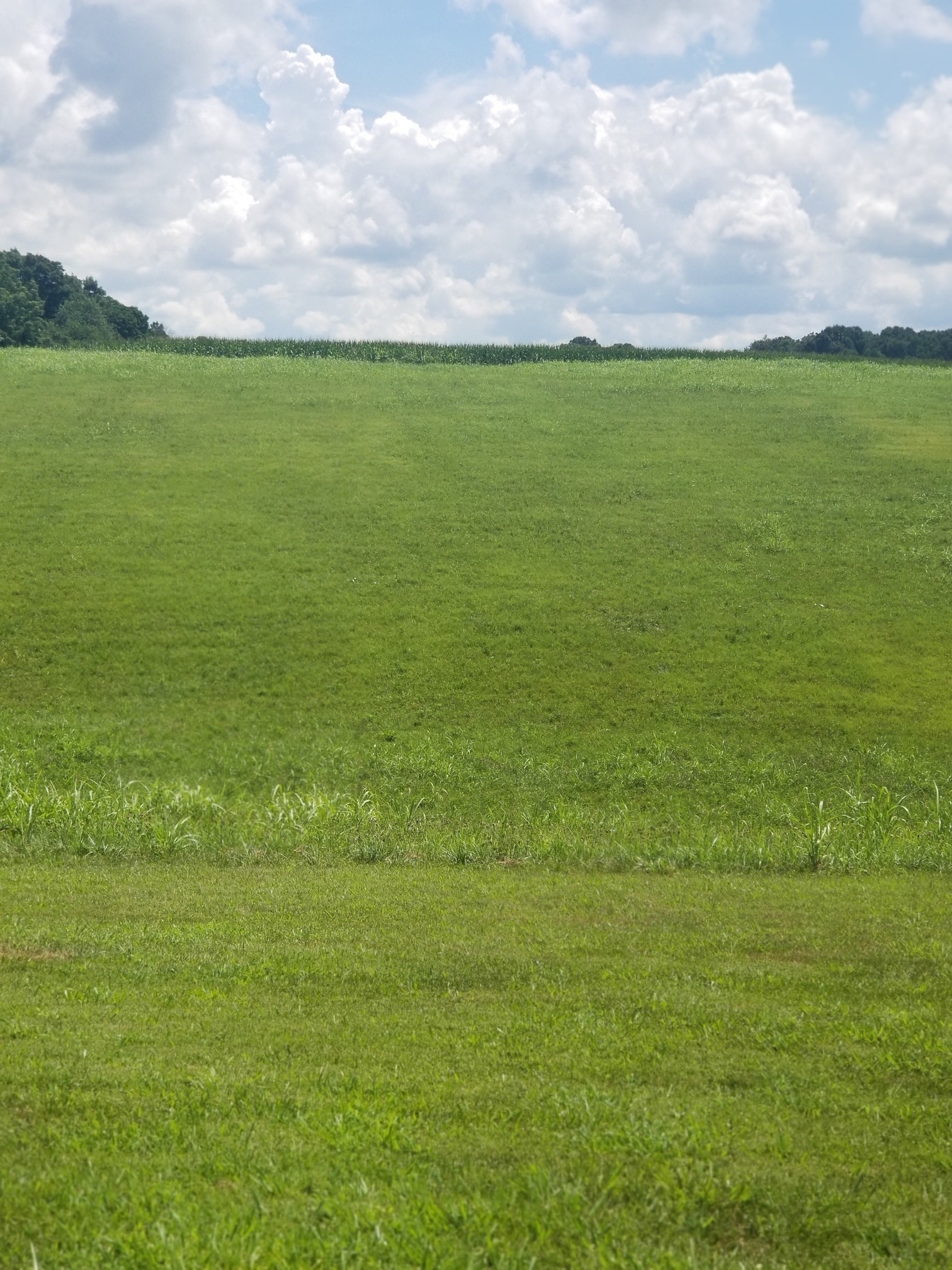 790 Sutton Road Red Boiling Springs, TN 37150 - Photo 3 of 4 a view of an ocean