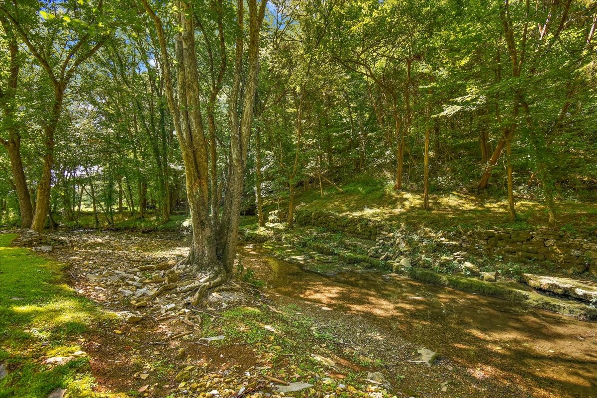 1570 Wolf Creek Road Silver Point, TN 38582 - Photo 24 of 40 a view of a yard with trees