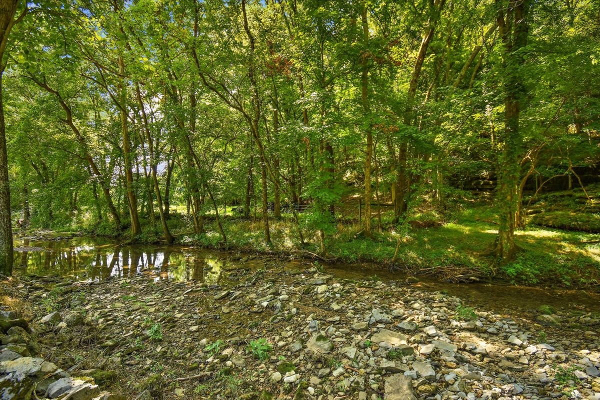 1570 Wolf Creek Road Silver Point, TN 38582 - Photo 26 of 40 a view of a yard