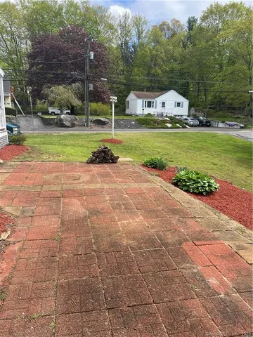 a view of a park with large trees and plants