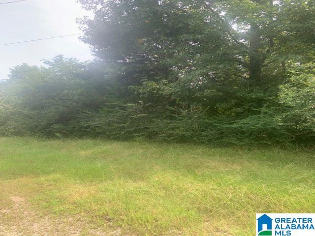 3933 Lindsey Loop Road, Unit 1 Bessemer, AL 35022 - Photo 1 of 1
