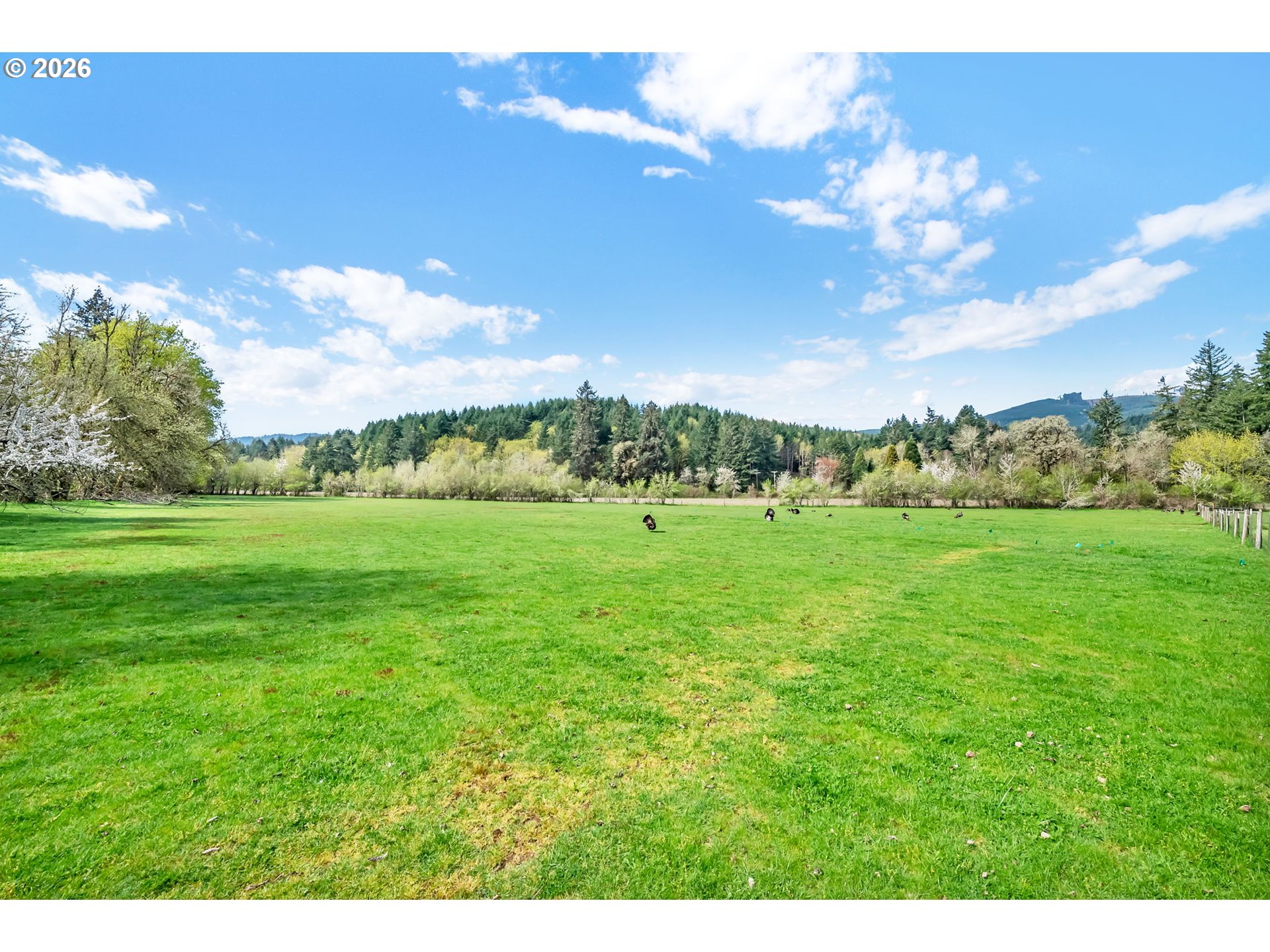 24022 Alpine Road Monroe, OR 97456 - Photo 43 of 48