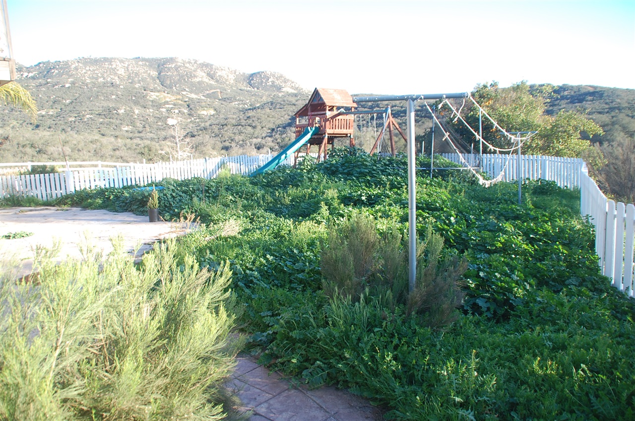 3025 Jamul Highlands Road Jamul, CA 91935 - Photo 3 of 25