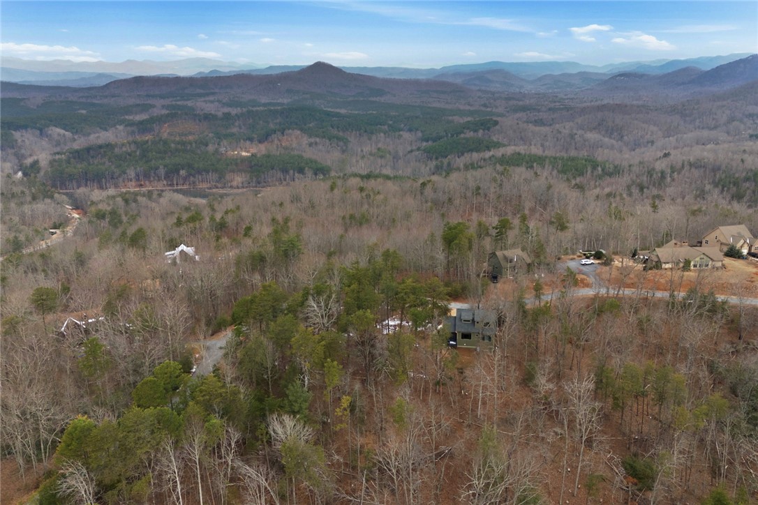 207 Cliffside Trail Pickens, SC 29671 - Photo 34 of 50