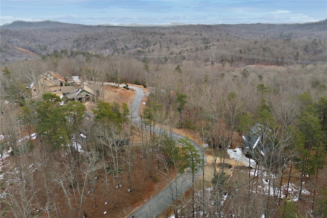 207 Cliffside Trail Pickens, SC 29671 - Photo 49 of 50