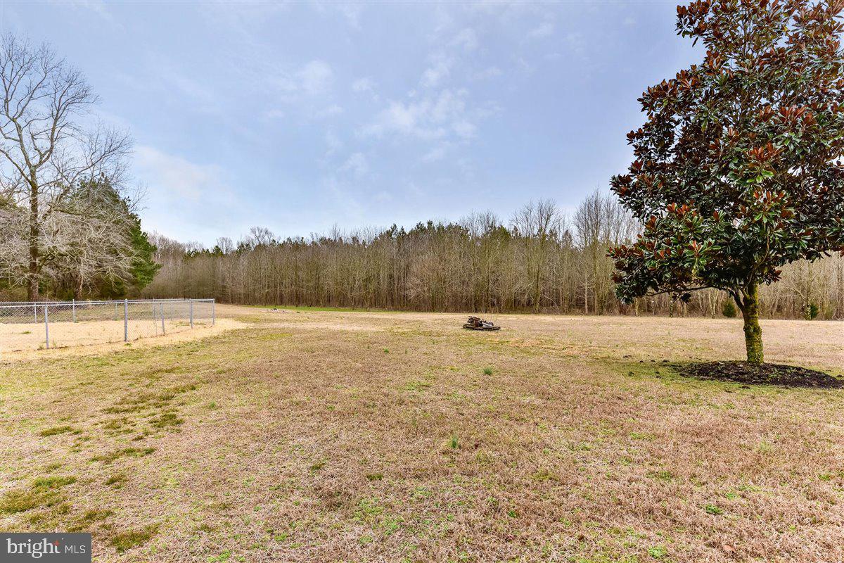11426 Bell Road Whaleyville, MD 21872 - Photo 79 of 129