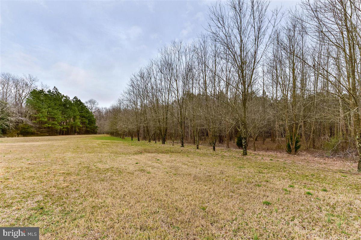 11426 Bell Road Whaleyville, MD 21872 - Photo 82 of 129