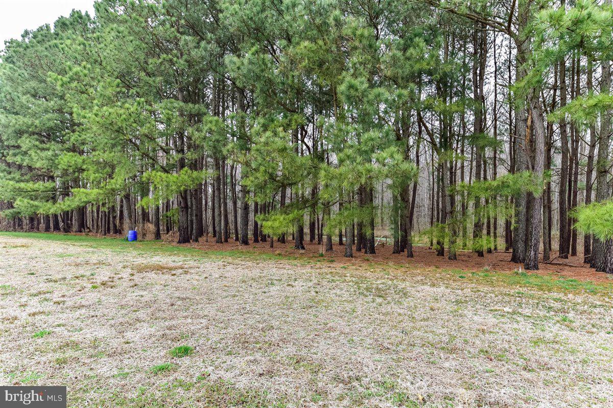 11426 Bell Road Whaleyville, MD 21872 - Photo 85 of 129