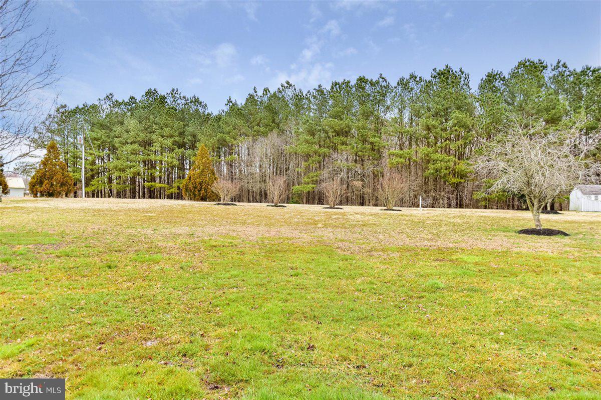 11426 Bell Road Whaleyville, MD 21872 - Photo 93 of 129
