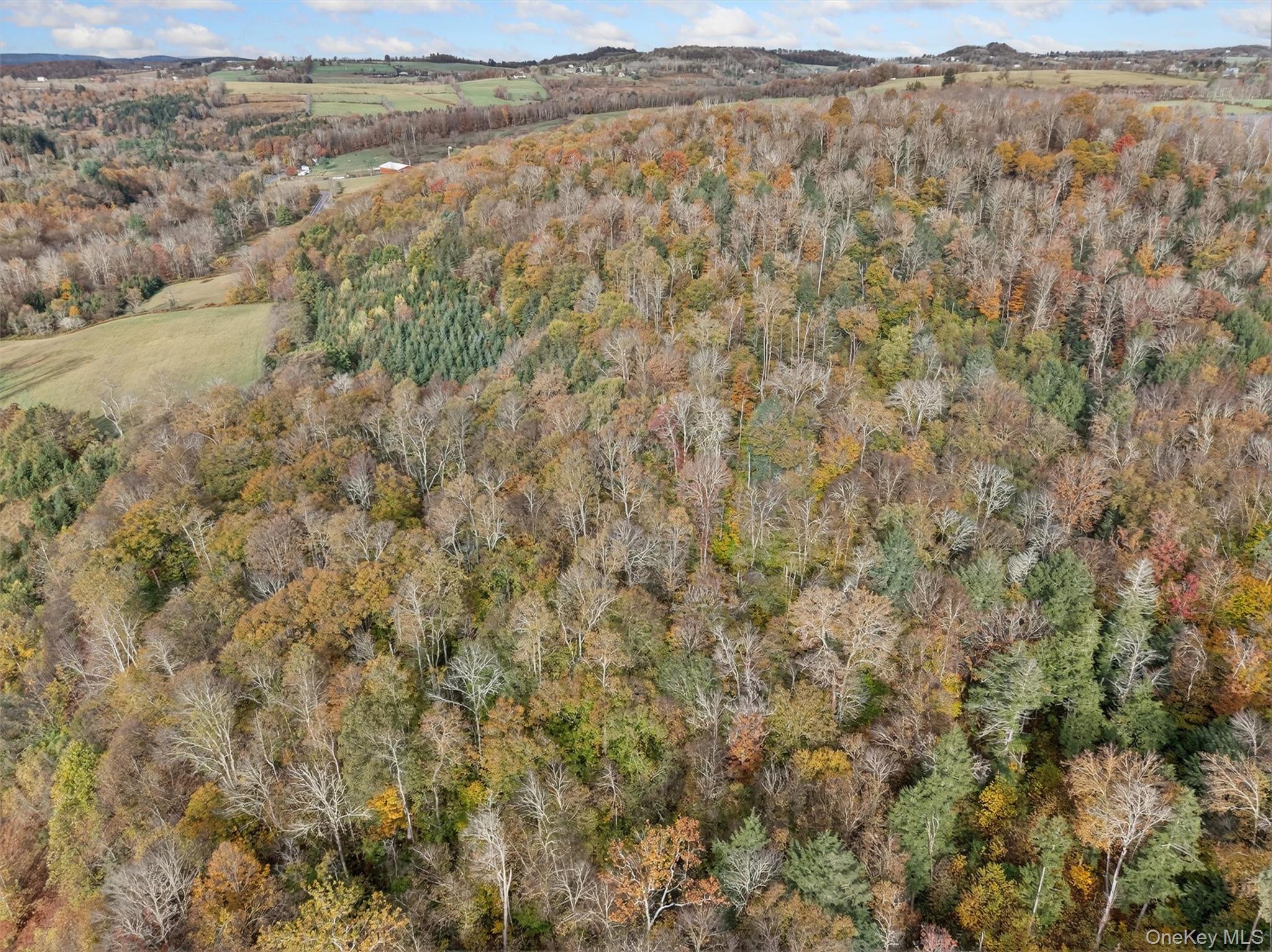 22 Highway 52A Callicoon, NY 12723 - Photo 12 of 20 View of property location