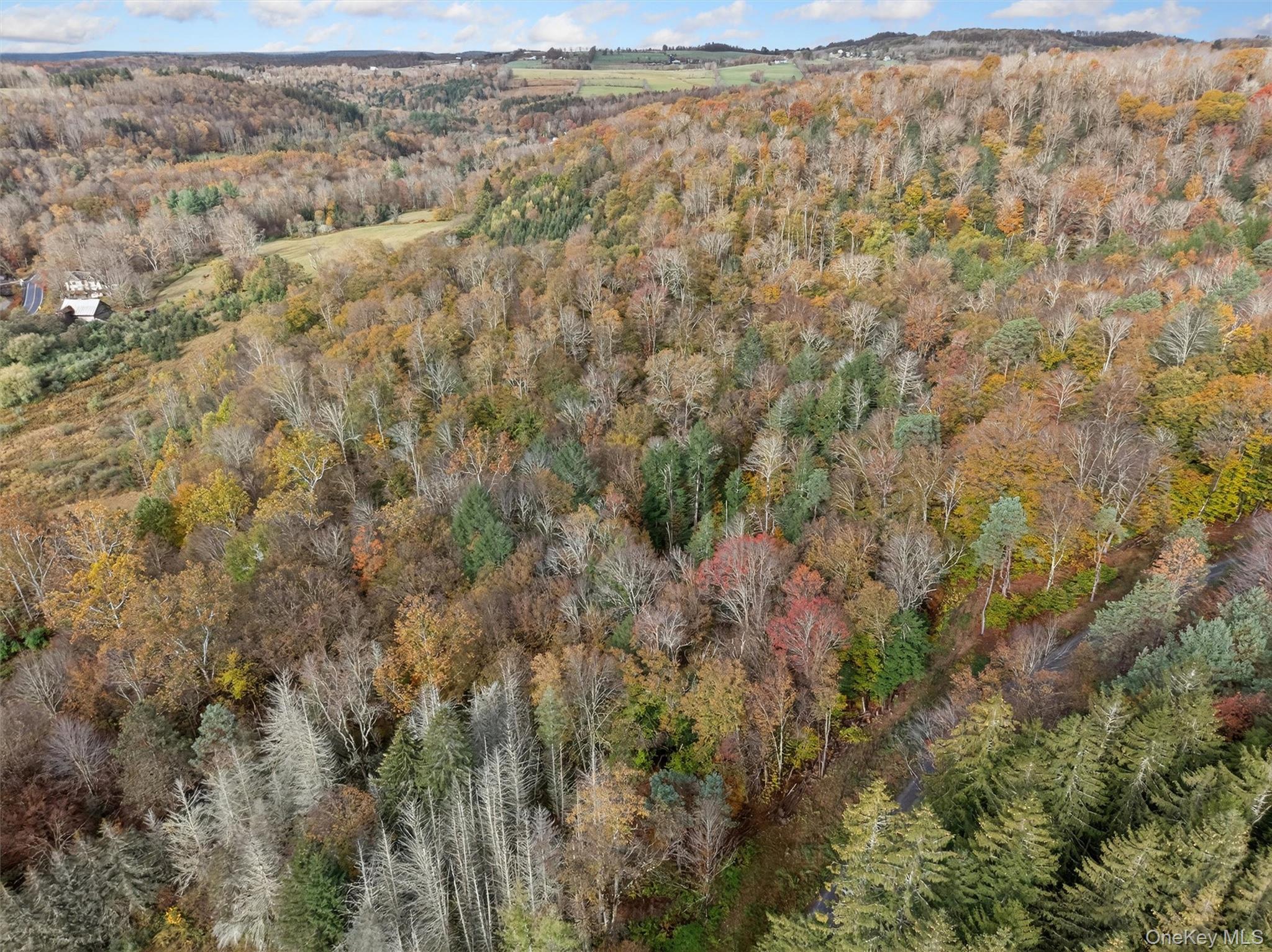 22 Highway 52A Callicoon, NY 12723 - Photo 13 of 20 View of property location featuring a heavily wooded area