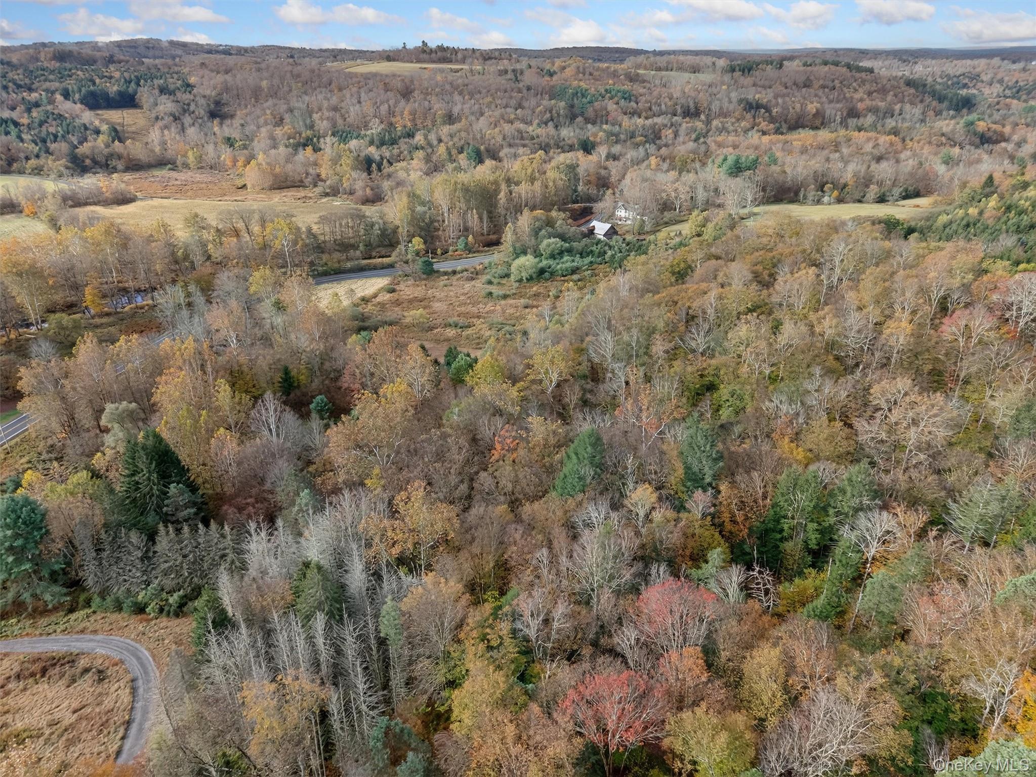 22 Highway 52A Callicoon, NY 12723 - Photo 14 of 20 Aerial overview of property's location with a heavily wooded area