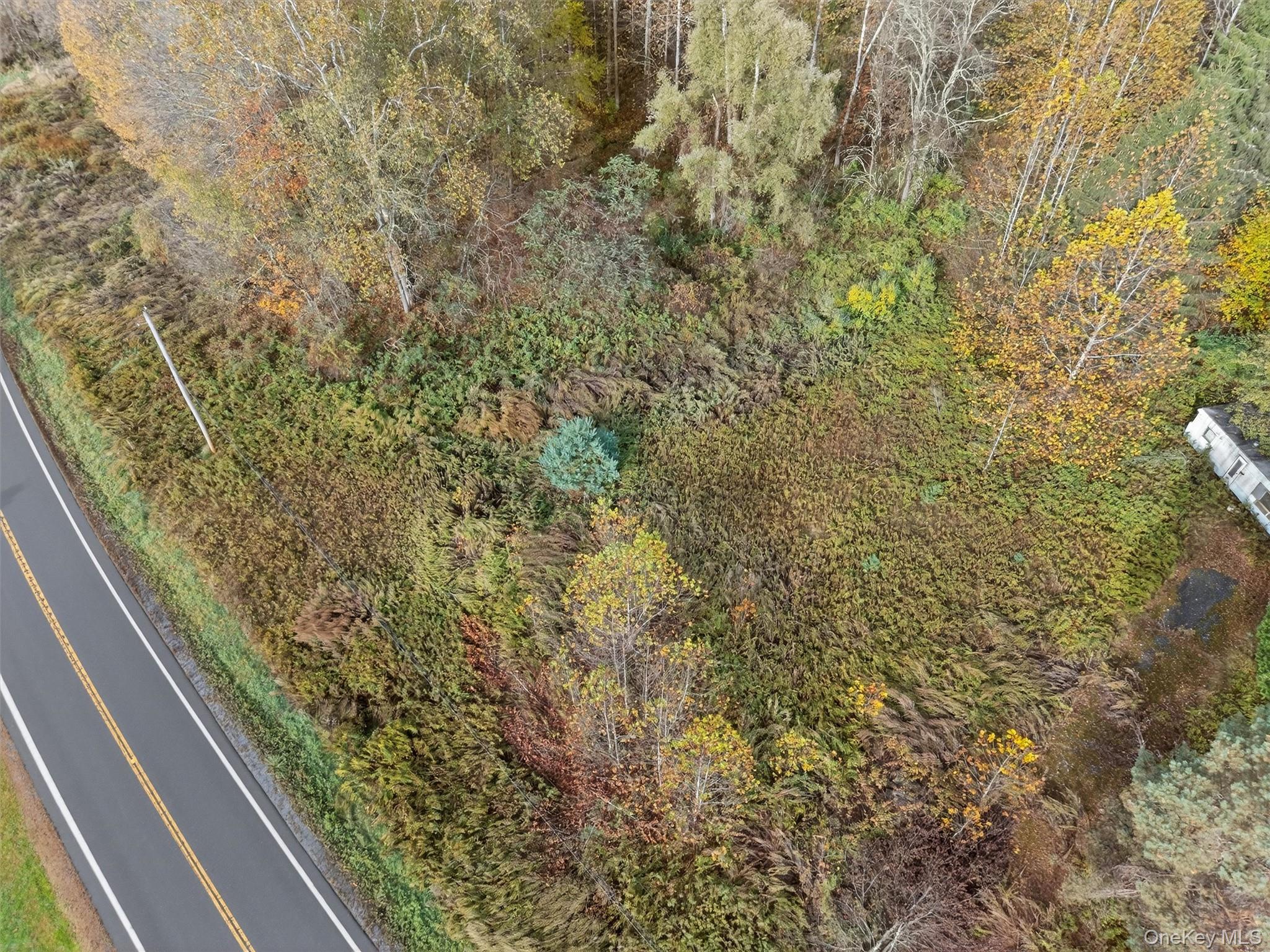 22 Highway 52A Callicoon, NY 12723 - Photo 17 of 20 Aerial overview of property's location