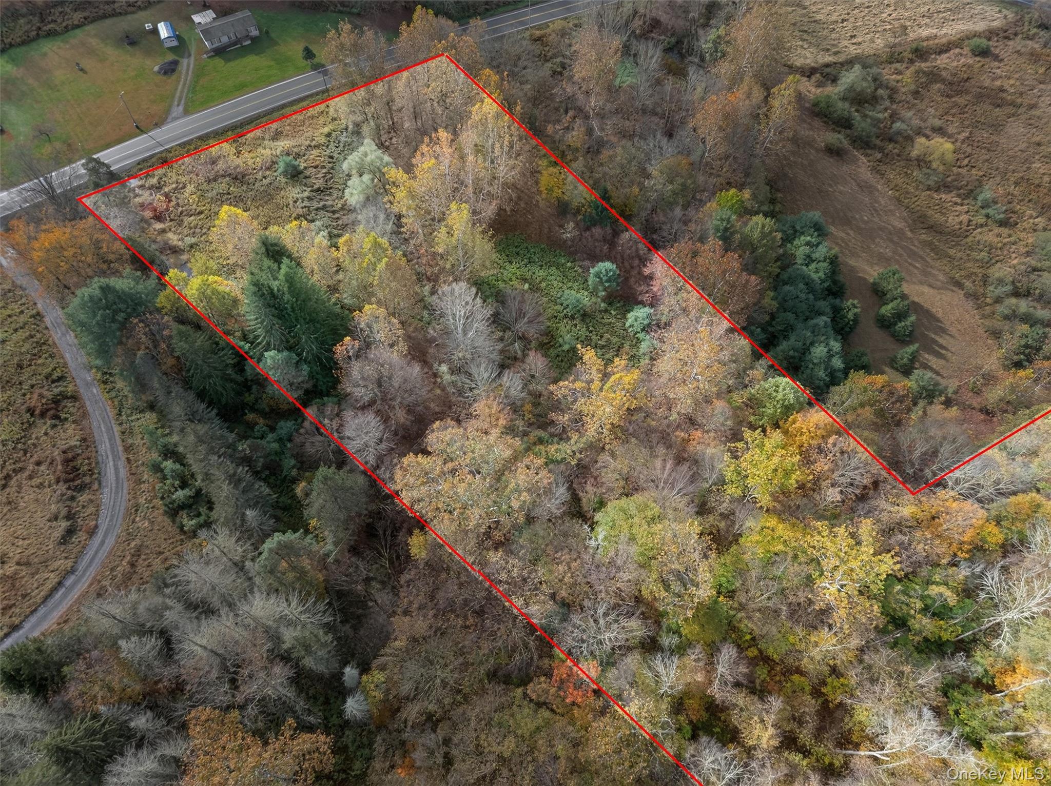22 Highway 52A Callicoon, NY 12723 - Photo 3 of 20 Aerial view of property's location with property parcel outlined