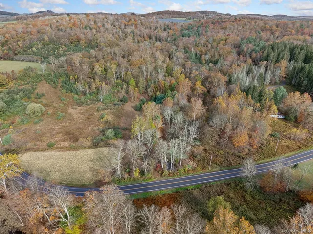 a view of a forest with a forest
