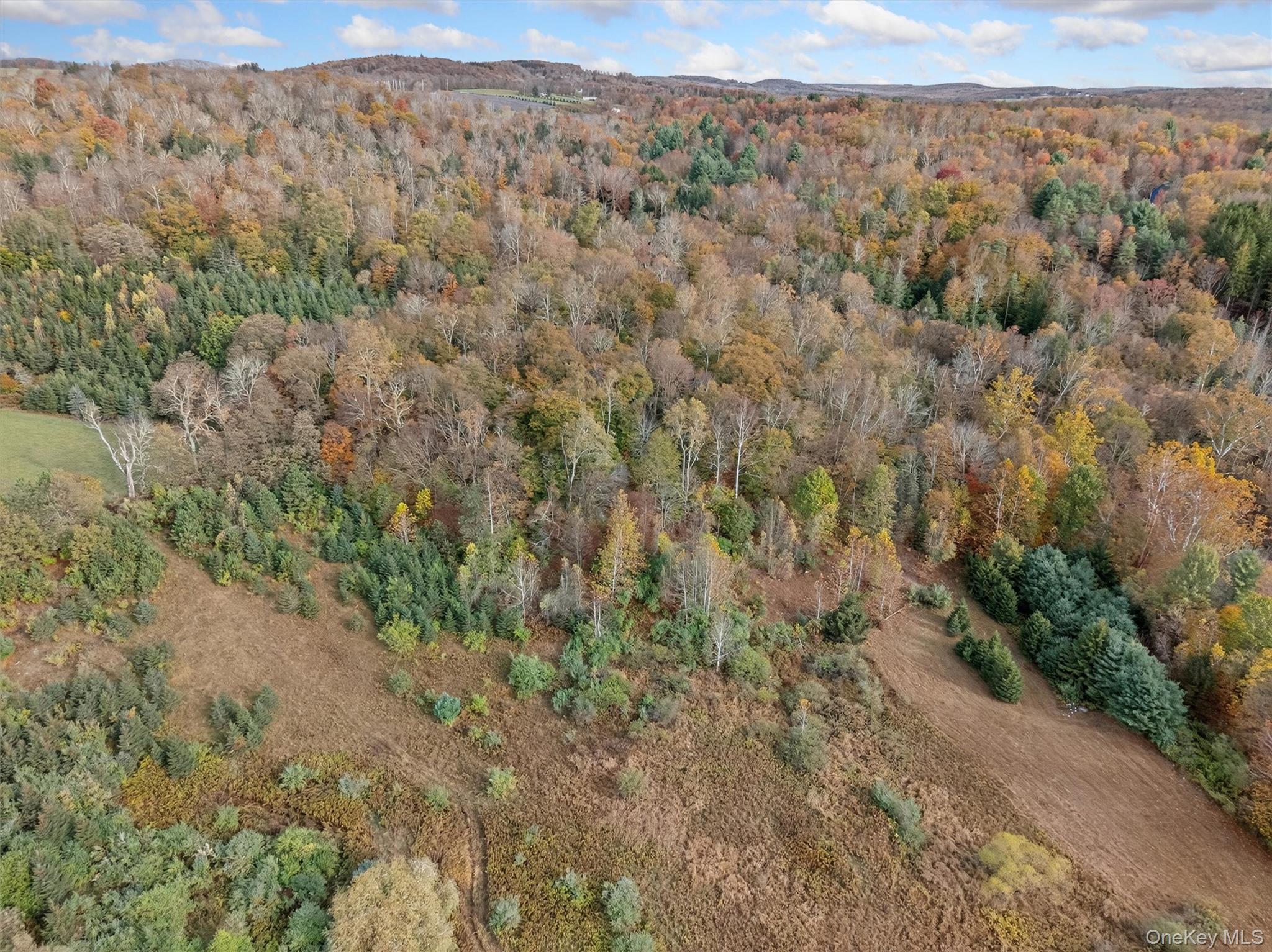 22 Highway 52A Callicoon, NY 12723 - Photo 6 of 20 Aerial view of property and surrounding area featuring a heavily wooded area