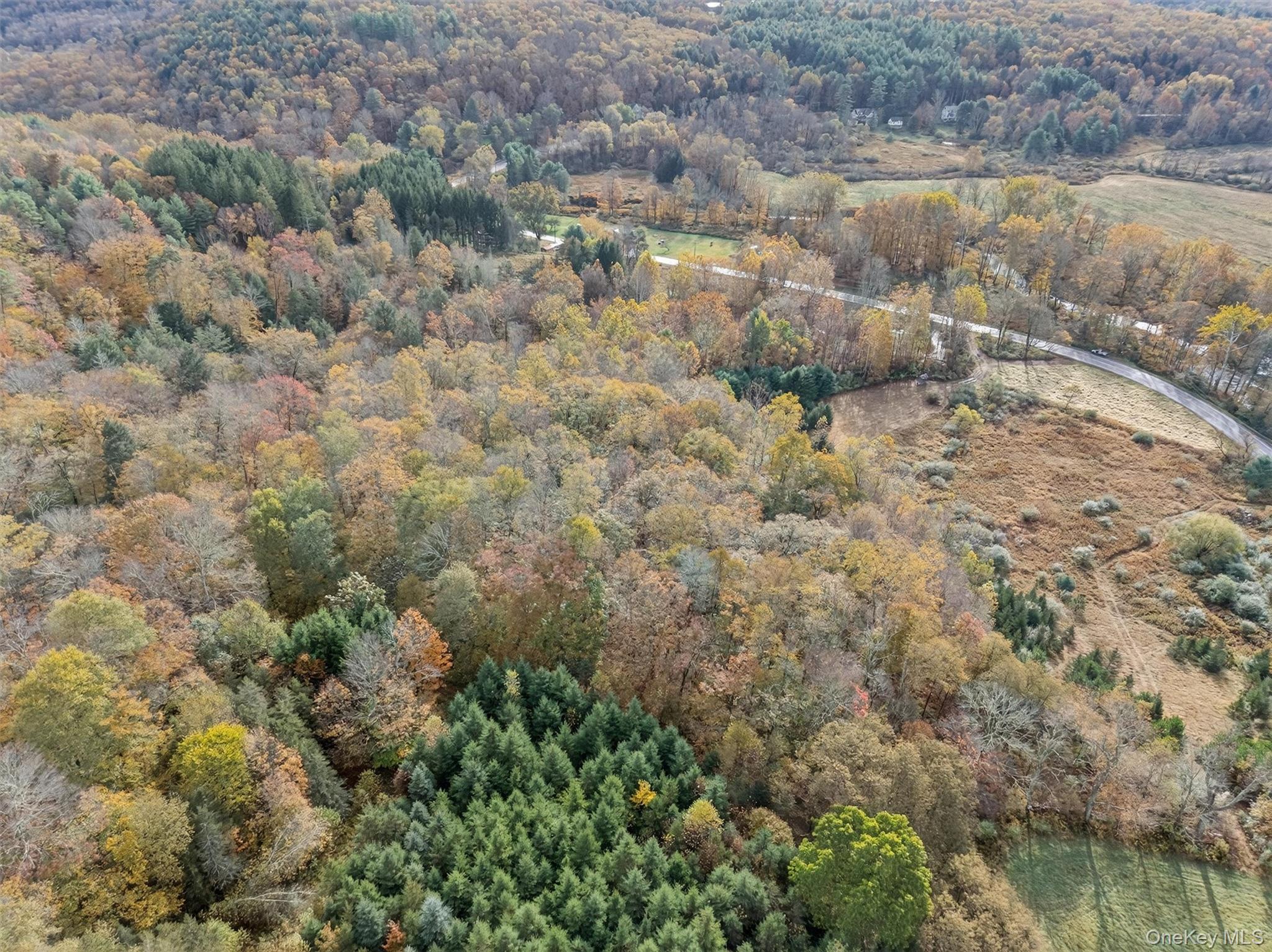 22 Highway 52A Callicoon, NY 12723 - Photo 8 of 20 View of property location featuring a heavily wooded area