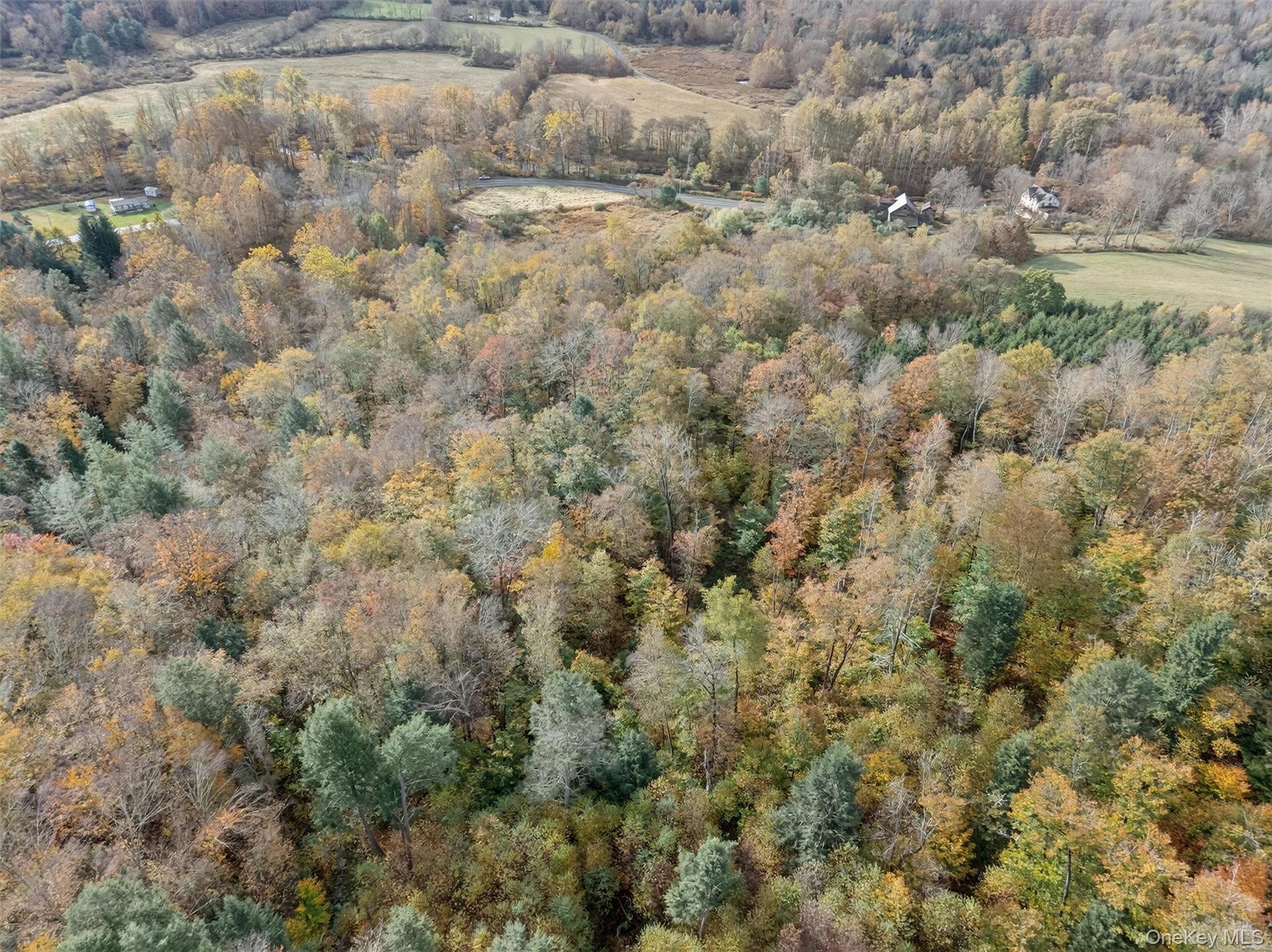 22 Highway 52A Callicoon, NY 12723 - Photo 9 of 20 Aerial overview of property's location featuring a forest