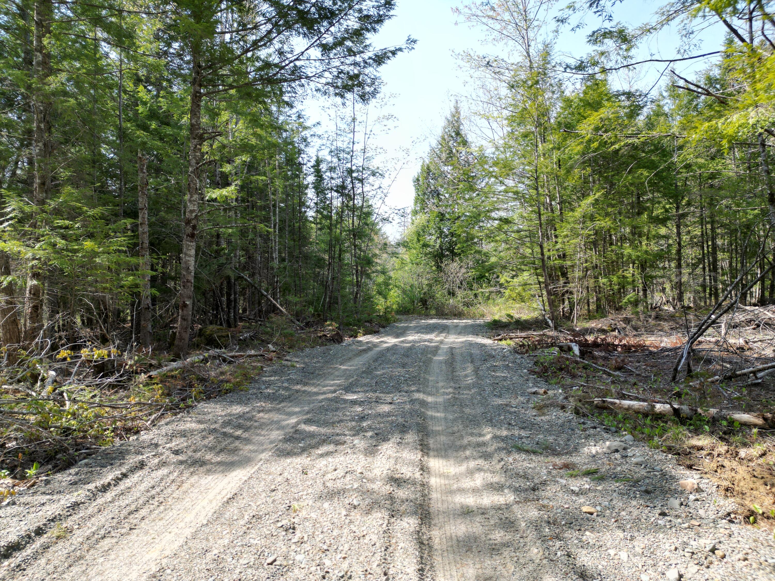 Lot 2 Off Mattamiscontis Road Howland, ME 04448 - Photo 6 of 16 DJI_0529