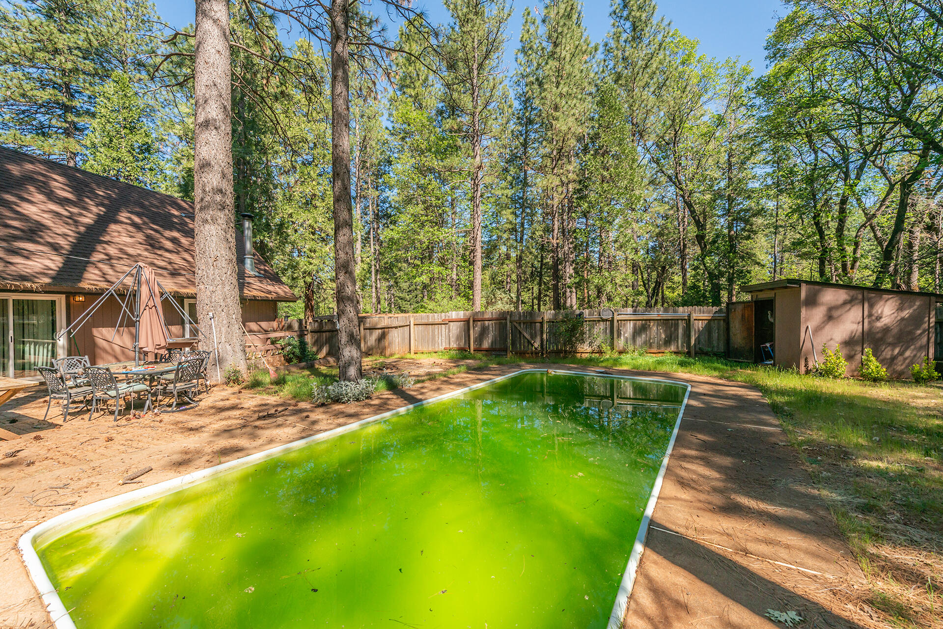 29837 Westmoore Road Shingletown, CA 96088 - Photo 29 of 38 DSC_4016