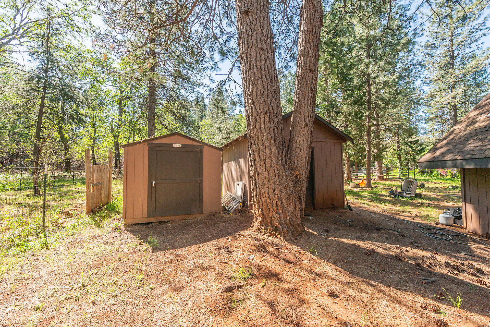 29837 Westmoore Road Shingletown, CA 96088 - Photo 33 of 38 DSC_4004