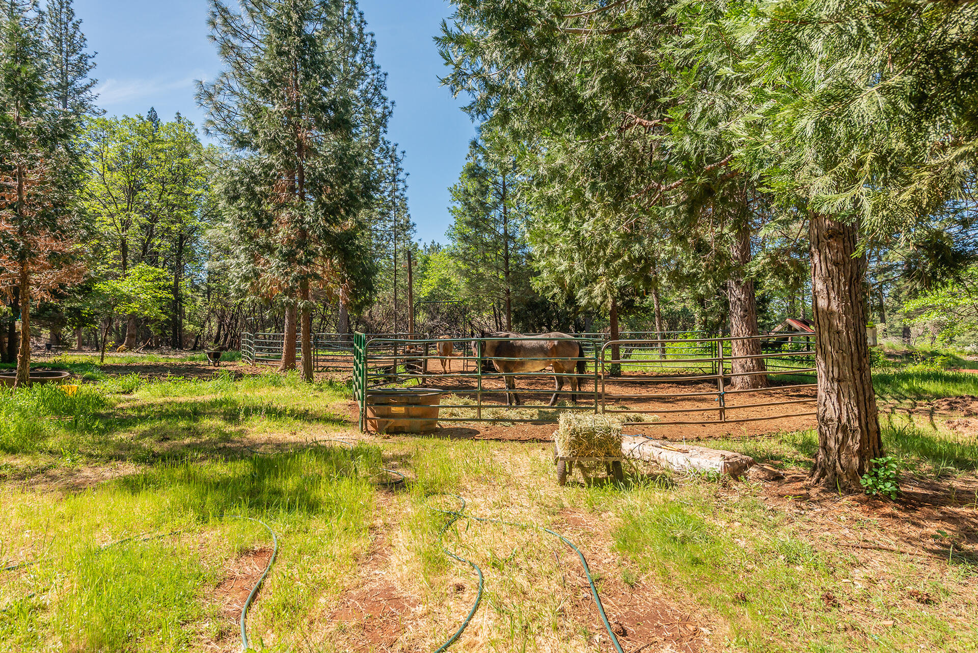 29837 Westmoore Road Shingletown, CA 96088 - Photo 34 of 38 DSC_4009