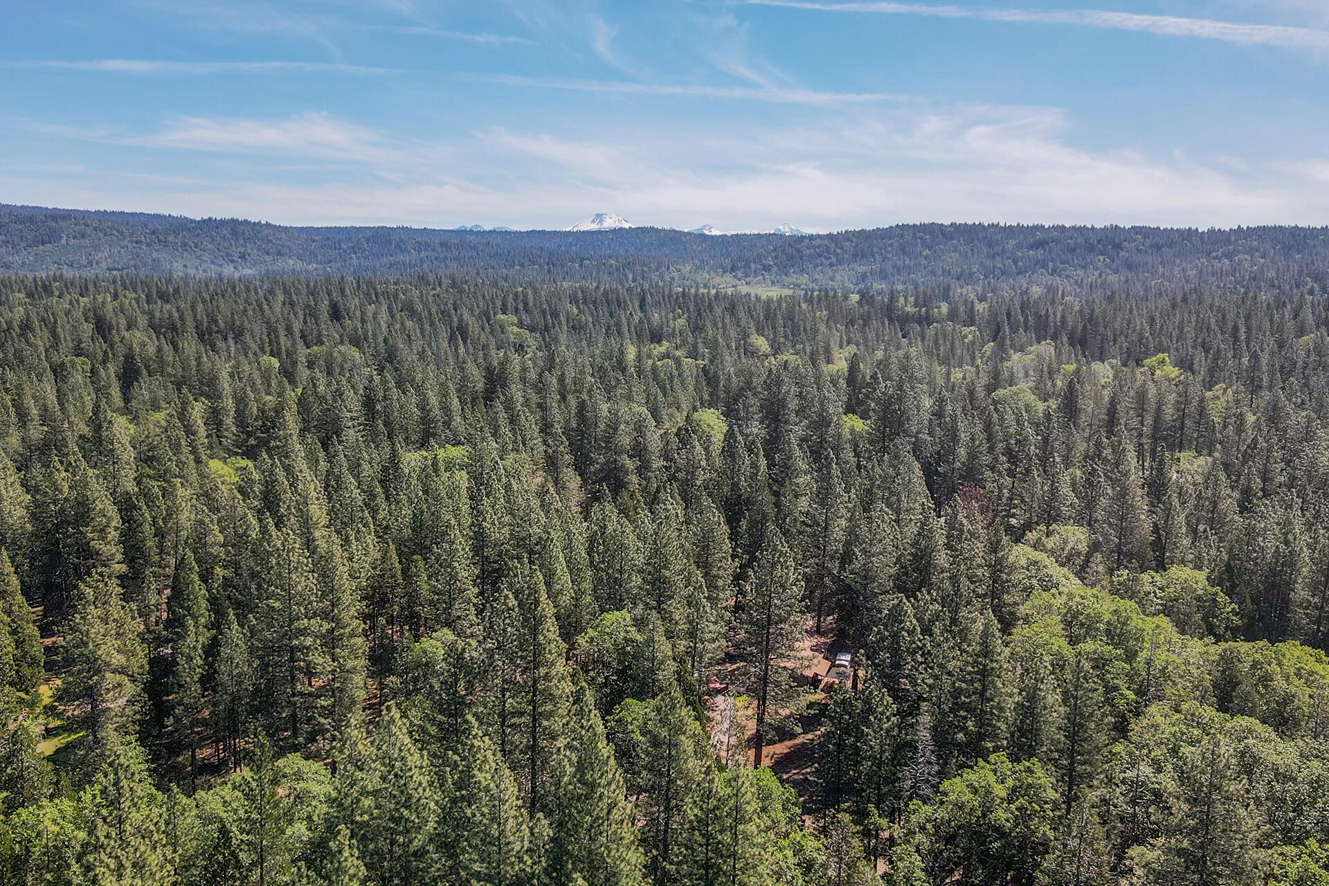 29837 Westmoore Road Shingletown, CA 96088 - Photo 36 of 38 0004