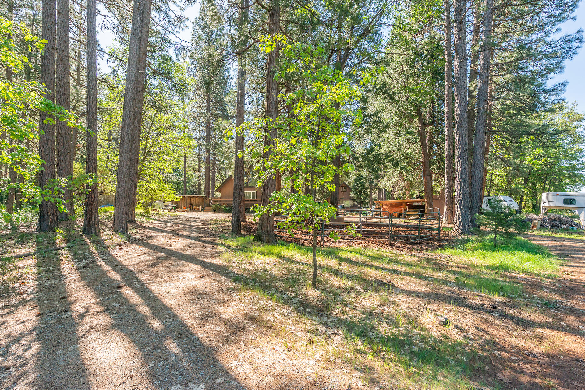 29837 Westmoore Road Shingletown, CA 96088 - Photo 5 of 38 DSC_3991