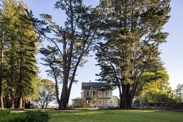 a view of a trees in front of a house