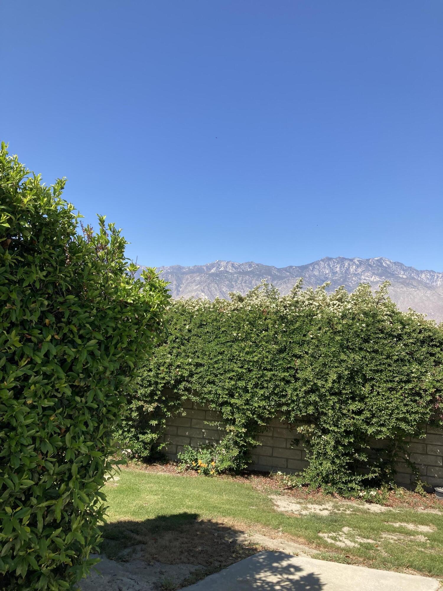 69411 Ramon Road, Unit 1023 Cathedral City, CA 92234 - Photo 4 of 7 IMG_2646