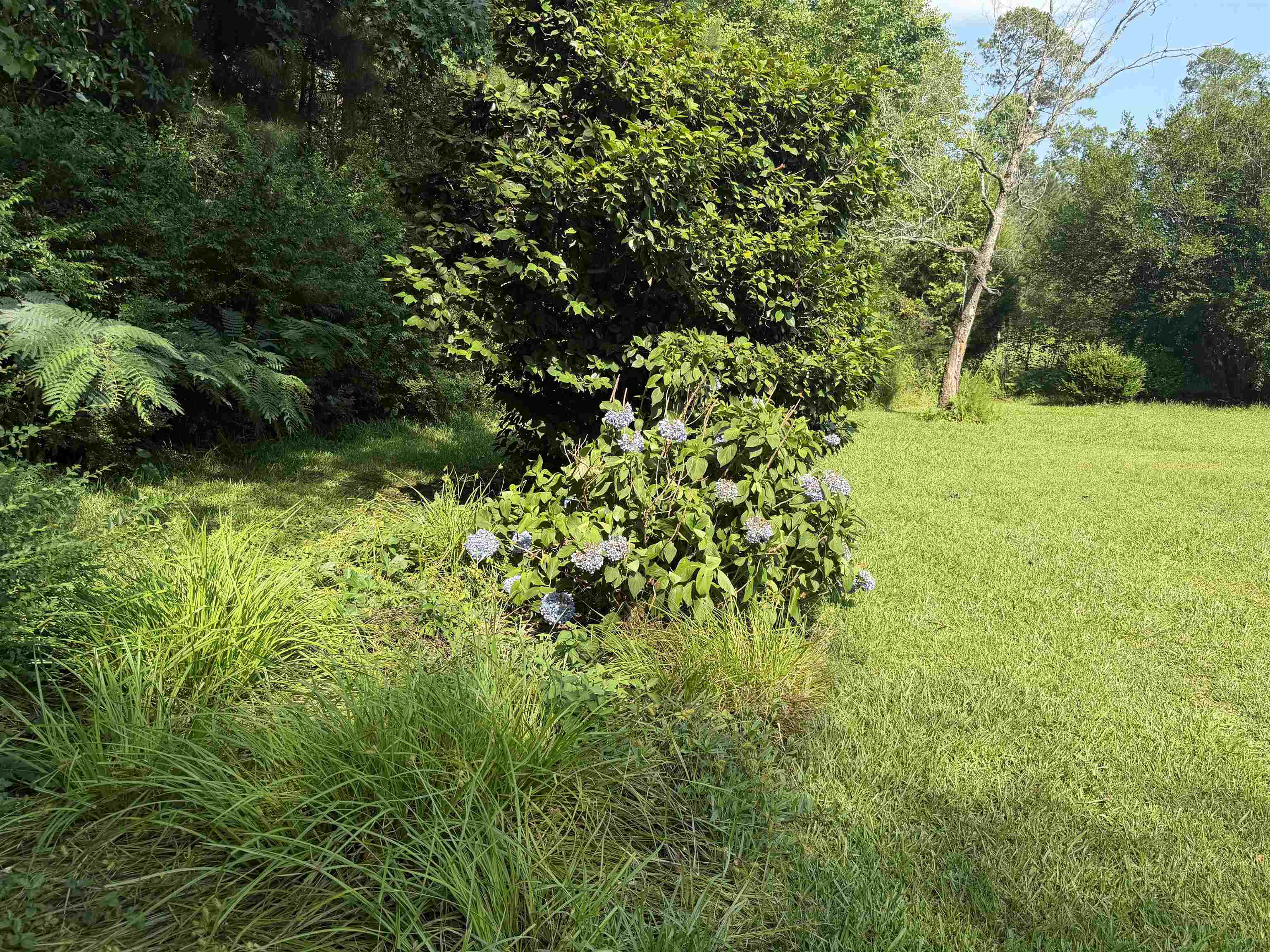 3240 Mt Olive Road Loris, SC 29569 - Photo 36 of 41