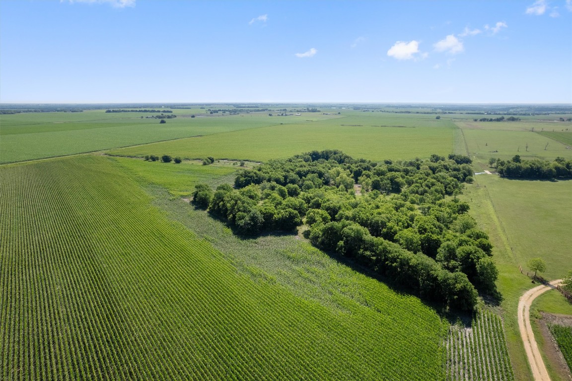 1701 County Road 424 Taylor, TX 76574 - Photo 12 of 22 a view of a lake with a big yard