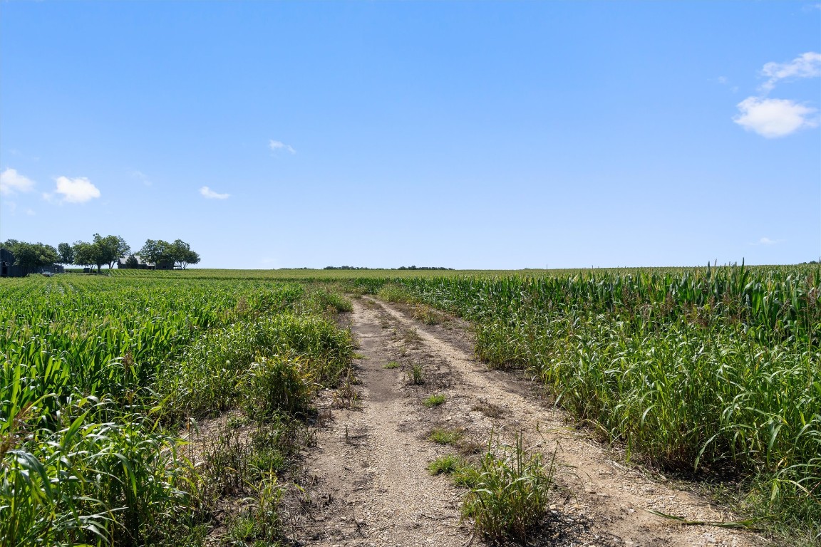 1701 County Road 424 Taylor, TX 76574 - Photo 21 of 22 a view of a field with an outdoor space