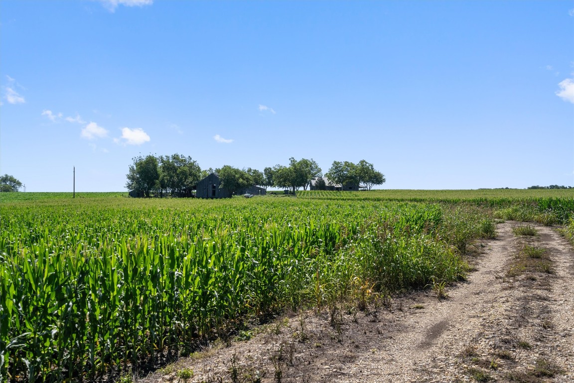 1701 County Road 424 Taylor, TX 76574 - Photo 22 of 22 a view of a garden with plants and large trees