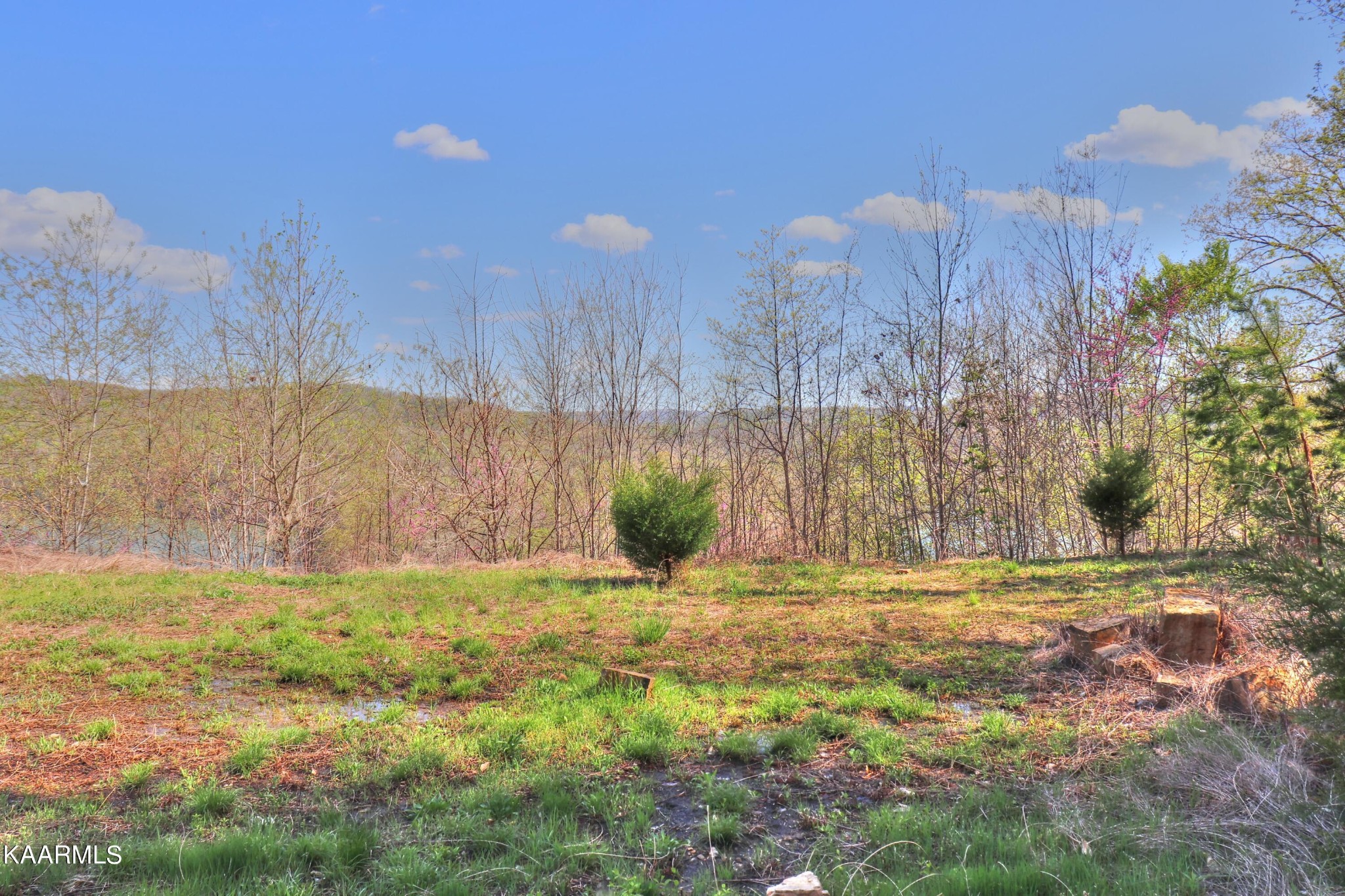 873 Clearwater Road New Tazewell, TN 37825 - Photo 22 of 38