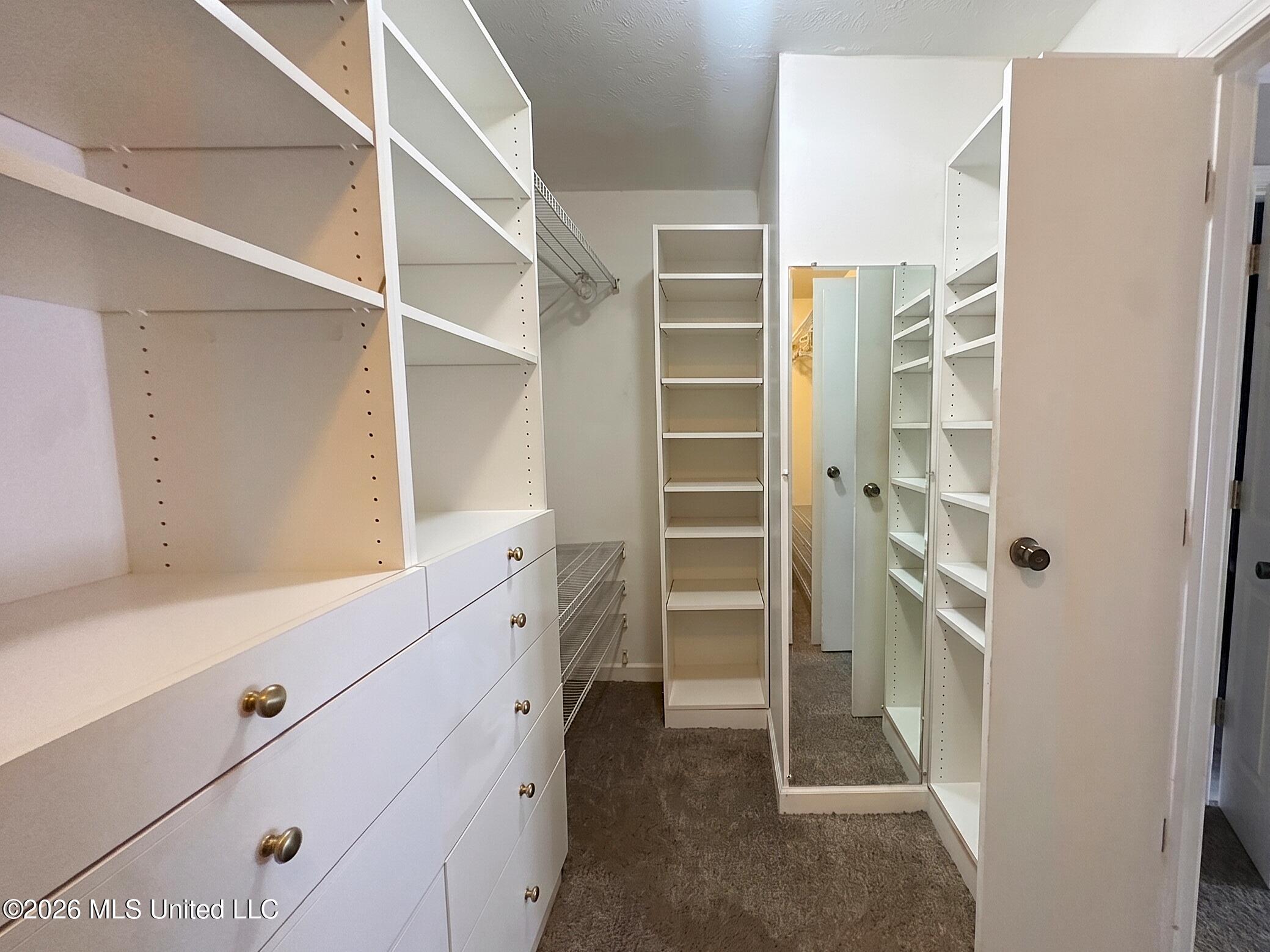 455 South Wheatley Street Ridgeland, MS 39157 - Photo 9 of 15 (Walk-In Closet)