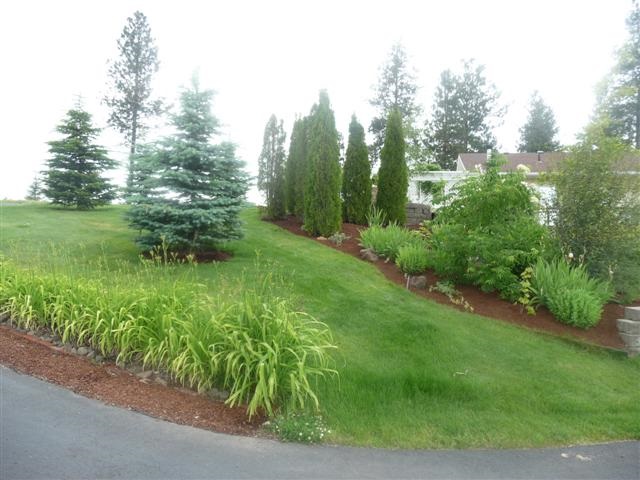 9706 South Grove Road Cheney, WA 99004 - Photo 14 of 20