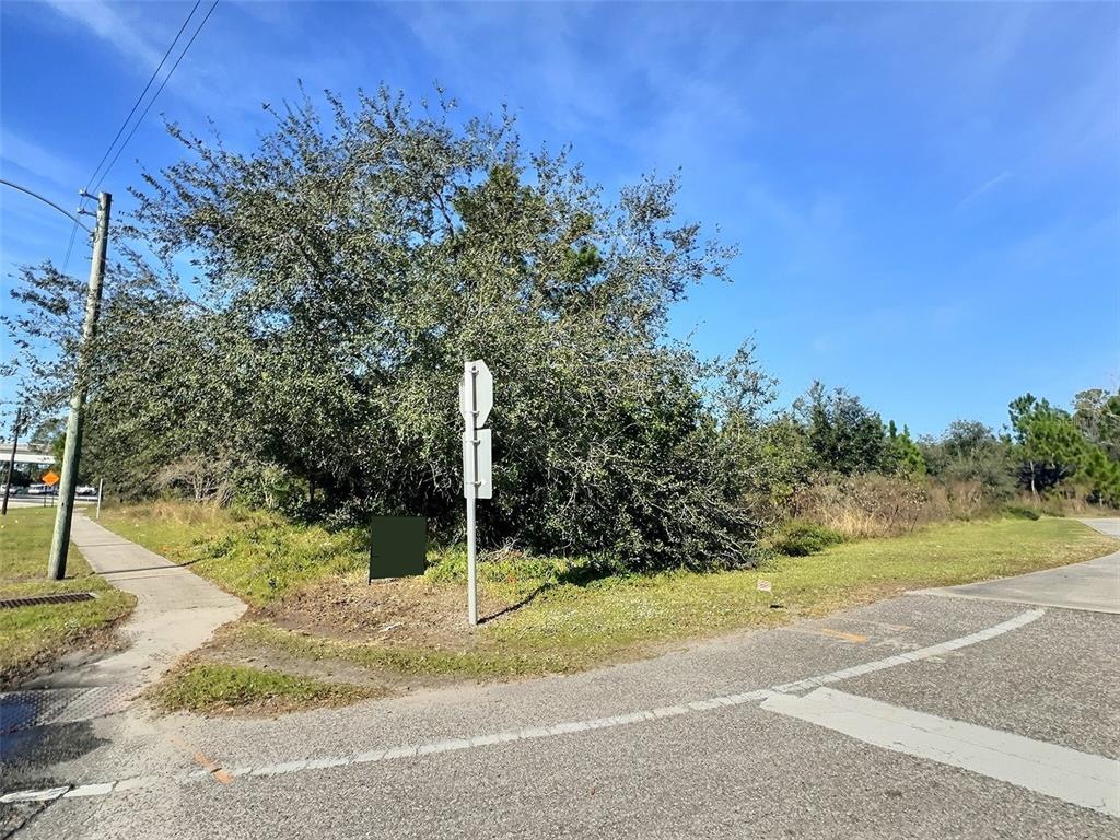 0 North State Street Bunnell, FL 32110 - Photo 3 of 13