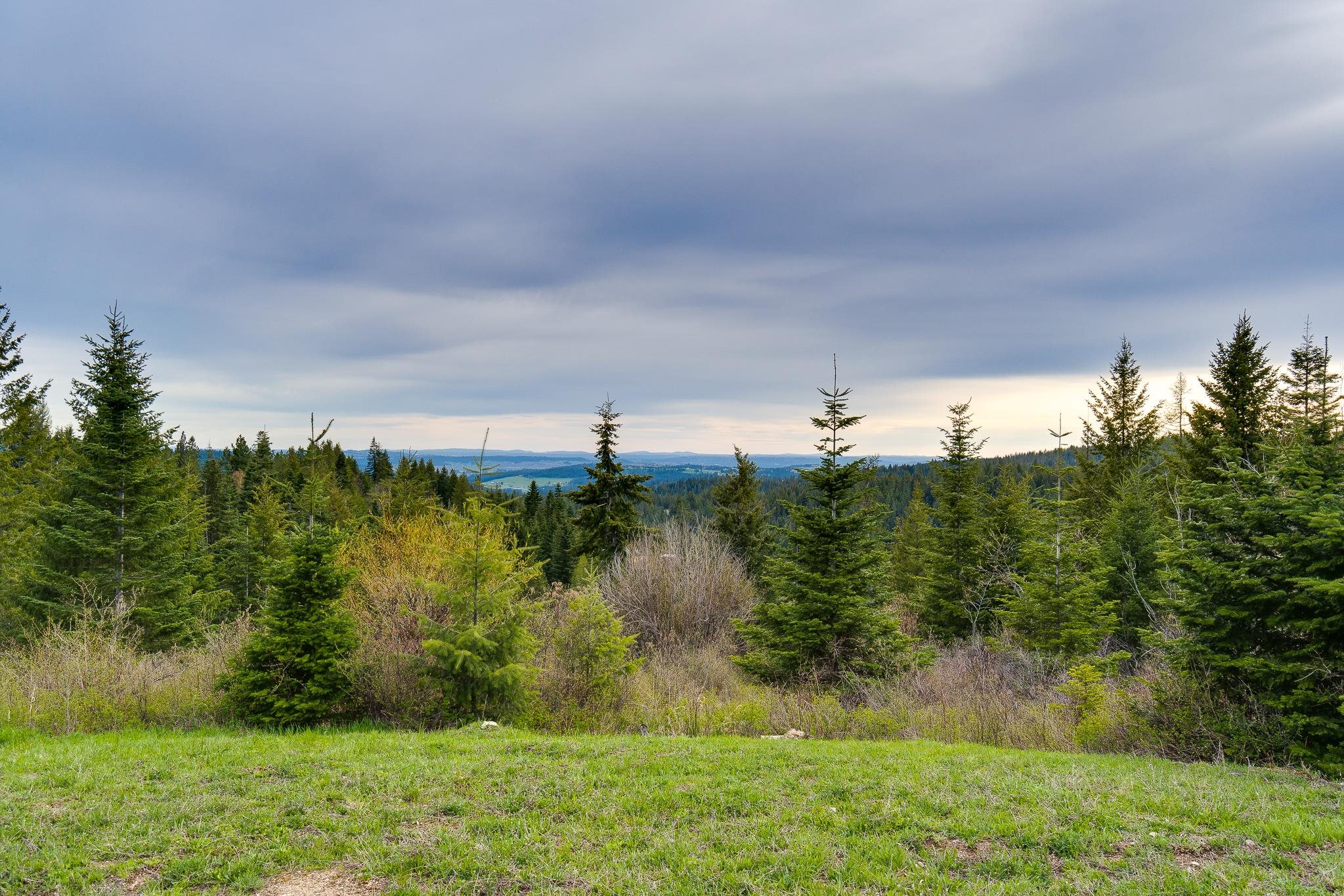 18899 East Eagle Ridge Lane Mead, WA 99021 - Photo 8 of 16