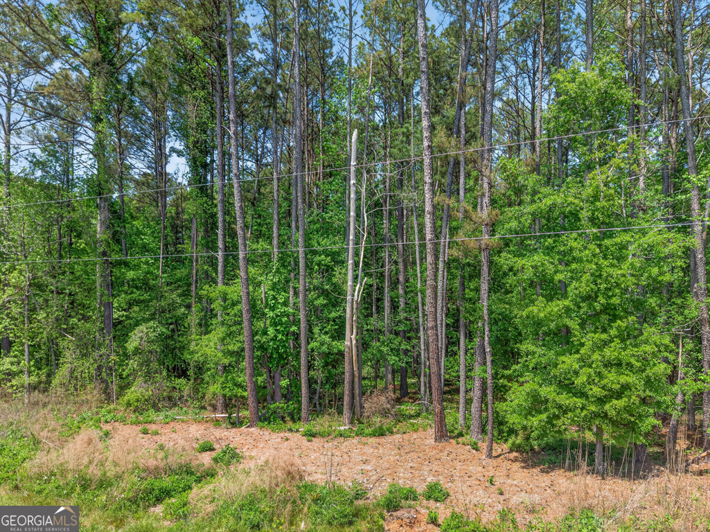 0 Roquemore Road, Unit LOT 3 Athens, GA 30607 - Photo 6 of 18 Gallery Image 6