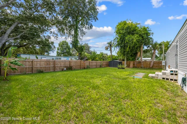 a view of a yard with a large tree
