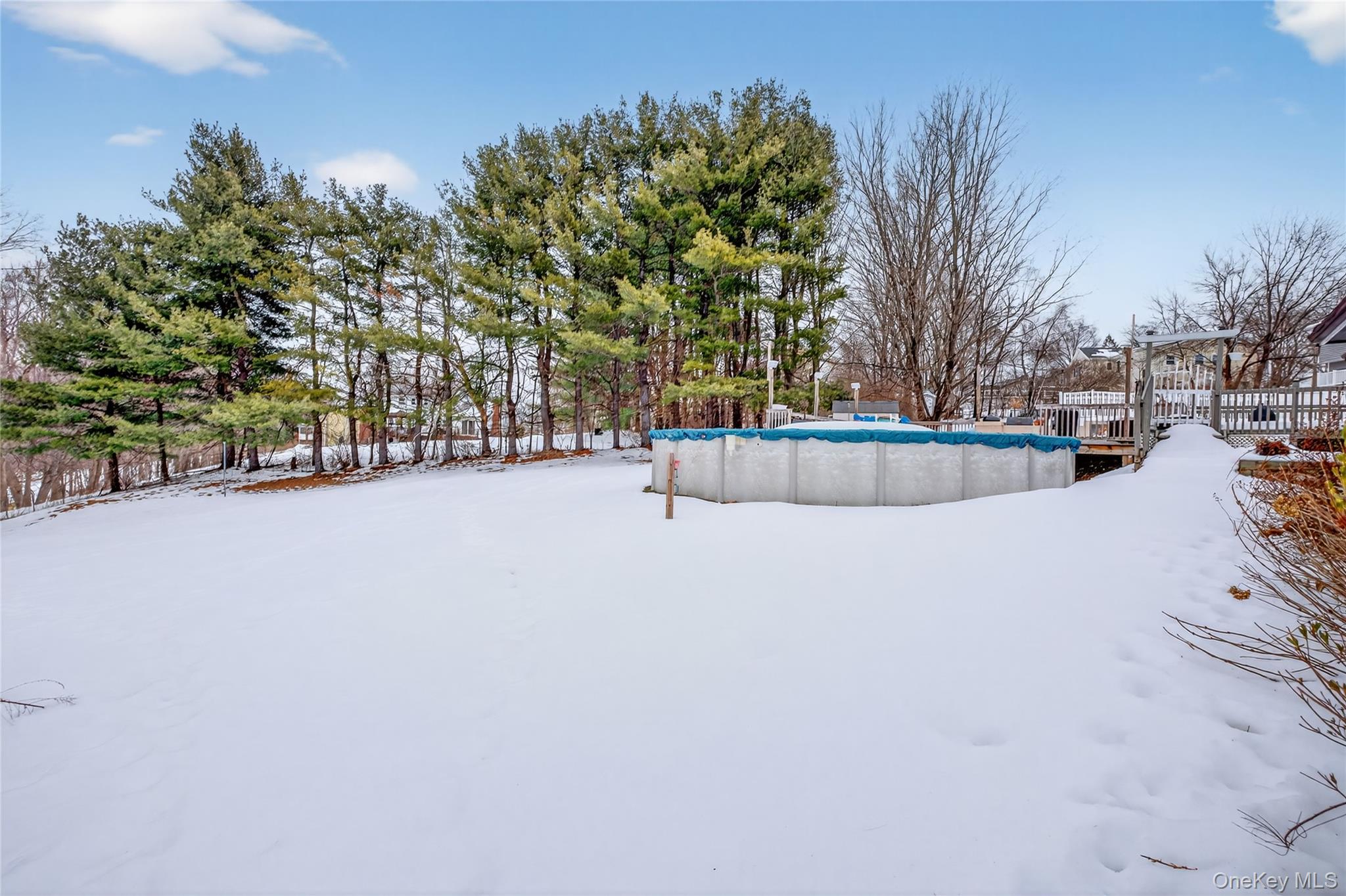 100 Watch Hill Drive Fishkill, NY 12524 - Photo 39 of 49 Yard layered in snow featuring a covered pool